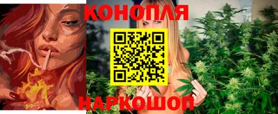 гашик Дубна