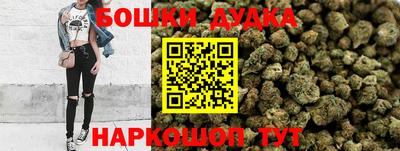 гашик Дубна