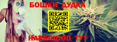 гашик Дубна