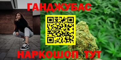гашик Дубна