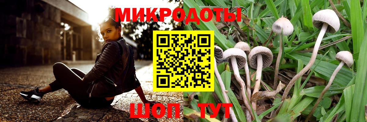 Галлюциногенные грибы MAGIC MUSHROOMS Волжский